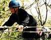 Wythenshawe - Youth Network tree climbing